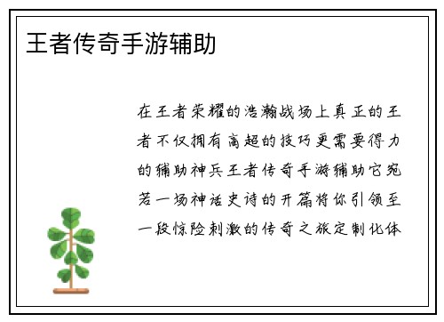 王者传奇手游辅助
